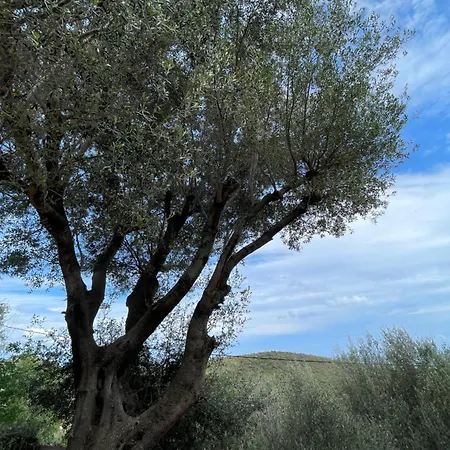 Dolce Corsica Сasa de vacaciones