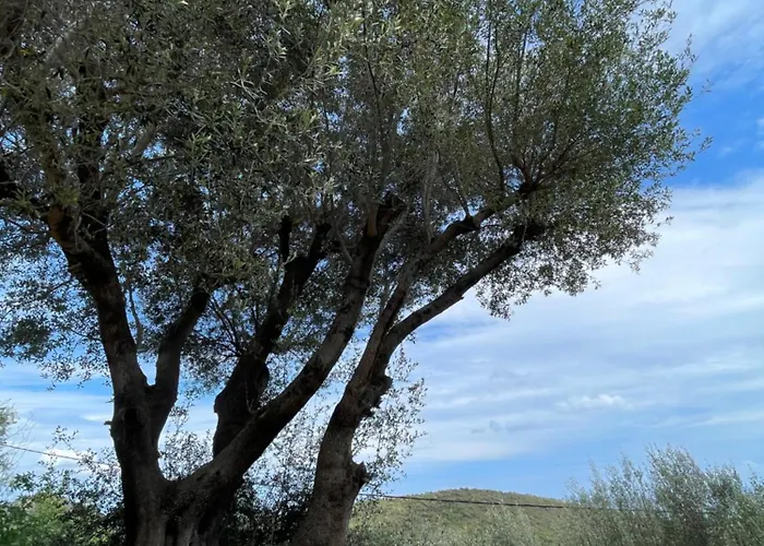 Dolce Corsica Сasa de vacaciones